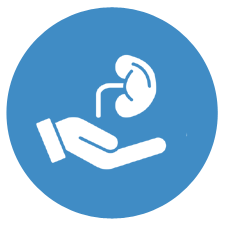 Specialized Care for Gallbladder, Hernia, and Appendix Conditions.