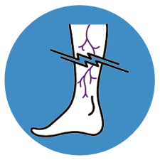 Comprehensive Solutions for Thyroid, Breast, and Varicose Vein Disorders.